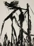 Untitled by Lucien Clergue, print, offered Nov 2022