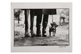 Untitled by Elliott Erwitt, Silver gelatin print, image size, offered Nov 2022