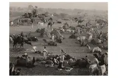 Untitled by Marc Riboud, Silver gelatin print, image size, offered Nov 2022