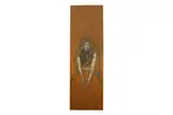 Girl with shawl by H. Craig Hanna, oil on Wood, offered Oct 2022