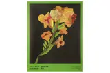 Lithographic poster by Jonas Wood, Wood Hong Kong Exhibition Poster, offered Oct 2022