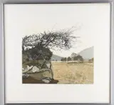 Cregennan Lake by Phil Greenwood, Etching, offered Nov 2020