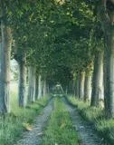 The Tree Avenue, Provence 1996 Chromogenic print Signed, dated 2006 and numbered 1/10 verso 139 x 110cm (54½ x 43¼ in.) UnframedPrinted in 2006 by Marcus Lyon, 2006, Chromogenic print, offered Oct 2020