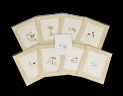 Mushroom studies by Emily Stackhouse, pencil, sold Oct 2020