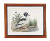 Ducks at the water's edge by Jerome Trollier, 1973, pencil, sold Oct 2020
