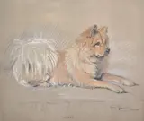 Portrait of a Chow Chow Dogpastel on brown papersigned and titled Wendy23 by Lucy Dawson, pastel, sold Dec 2021