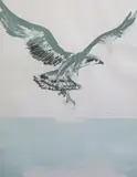 Osprey, 1974 lithograph printed in colours signed in pencil and inscribed AP 64.5 x 47cm by Elisabeth Frink, lithograph, sold Dec 2021