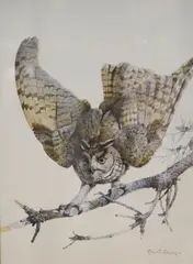 Long-eared owl on a branch by Edwin Penny, watercolour, sold Dec 2021