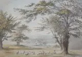Bagshot Heath, Surrey ink and watercolour 1970 Fine Art Society Exhibition label verso 30.5 x 43cm by Anthony Devis, ink and watercolour, sold Dec 2021