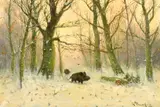 German School, two wild boar in a winter landscape by L Steinfeld, oil on canvas, offered May 2023