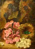 British, A still life of a bird nest with eggs and pink and white flowers by Oliver Clare, oil on canvas, sold Mar 2023