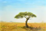 British, Cheetahs resting in the Savanna by Jonathon Truss, 1996, oil on canvas, sold Mar 2023