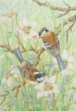 Birds on a branch with daffodils and Forget-Me-Nots by Ella Bruce, watercolour, offered Feb 2023