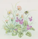 Violets and other flowers with a bumble bee by Ella Bruce, watercolour, offered Feb 2023