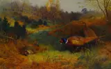 Print - three pheasants feeding on grassland by Archibald Thorburn limited edition, print, sold Mar 2019