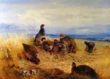 Print - nest of game birds on open grassland by Archibald Thorburn limited edition, print, offered Mar 2019