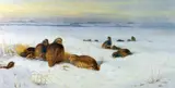 Print - game birds in an expansive snowy landscape by Archibald Thorburn limited edition, print, sold Mar 2019