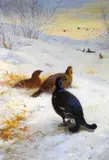 Print - game birds in the snow with ducks in flight by Archibald Thorburn limited edition, print, sold Mar 2019