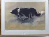 Print - sheepdog by William Selwyn limited edition, print, sold Feb 2019
