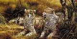 'CHEETAHS', a limited edition print 69/95, signed and numbered in pencil, with by Michael Jackson, print, sold Feb 2018