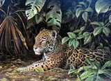 'JUNGLE COVER - JAGUAR', a limited edition print 129/750, signed and numbered with by Guy Coheleach, print, sold Feb 2018
