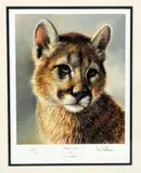 'PUMA CUB', a limited edition print 588/600, signed and numbered in pencil, mounted by Ian Nathan, print, sold Feb 2018