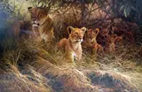 'MOTHERS PRIDE', a limited edition print 233/500, signed and numbered in pencil, by Dick van Heerde, print, sold Feb 2018