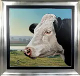 Study of the head of a Friesian Cow in a landscape, oil on by Paul James, oil on canvas, sold Jan 2018
