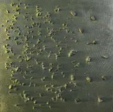 textured canvas, with paperwork from Washington Green Gallery, box canvas, approximately 90cm square by Studio Evolution Artists 'solar Aspects', oil, sold Jan 2018