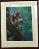 Mother and Baby Orangutan, pastel, signed lower right, approximately by Joel Kirk, pastel, sold Jan 2018