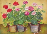 Still life of Pelargoniums in southern Spain by Jose Escofet, Gouache, offered Dec 2016
