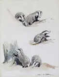 Untitled by Eileen Alice Soper Rms, Watercolour, sold Dec 2016