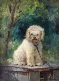Rags, the artist's poodle Signed and inscribed Rags Watercolour 18.75 x 13.25cm Provenance: Michael Bryan, London ++Good condition by Charles Spencelayh, Watercolour, offered Dec 2016