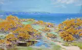 Gorse in bloom, Mounts Bay Shore Signed, also signed, titled and dated 1912 verso Gouache 28 x 45cm ++Good condition by John Baragwanath King, 1912, Gouache, sold Dec 2016