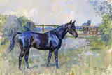Copper Coin by Corner Boy and Penny Farthing by Peter Biegel, Watercolour, sold Dec 2016