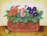 Still lifes of Auriculas and Primula in terracotta pots A pair, both signed Both gouache Each 36 x 46cm Provenance: Stephanie Hoppen, London, No by Jose Escofet, gouache, offered Dec 2016