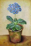 Still lifes of Auriculas in flower pots A pair, both signed Both gouache Each 40 x 27cm Provenance: Stephanie Hoppen, London, No by Jose Escofet, gouache, offered Dec 2016