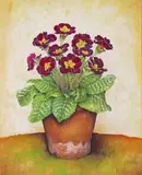 Still lifes of Primula in flower pots Three, all signed All gouache Each 34 x 27cm Provenance: Stephanie Hoppen, London, No by Jose Escofet, gouache, offered Dec 2016