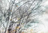Silver birch in the wind; The Thaw of February 1985 Two both signed and dated December 1982 and February 1985 Both watercolour Each 36 x 54cm (2) by Bob Jones, watercolour, sold Dec 2016