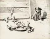 The Gate Crashers Signed and titled Etching 17.5 x 22cm Provenance: Nigel Stacy-Marks, Perth ++Mount-stained, one pinprick fox mark otherwise good by Leonard Robert Brightwell, Etching, sold Dec 2016