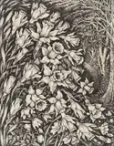 Untitled by Robin Tanner, Etching, sold Dec 2016