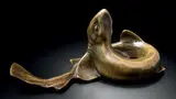 Petit congre, dit Chien de mer, portebouquet by Édouard-Marcel Sandoz, Bronze signé sur la queue, sold Mar 2015