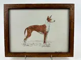 Portrait de Podenco Ibicenco by Joël Blanc, Gouache sur papier encadrée, sold Mar 2024