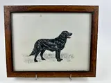 Portrait de Flat Coated Retriever by Joël Blanc, Gouache sur papier encadrée, sold Mar 2024