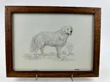 Portrait de Kuvasz by Joël Blanc, Gouache sur papier, encadrée, sold Mar 2024