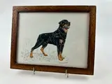 Portrait de rottweiler by Joël Blanc, Gouache sur papier, encadrée, sold Mar 2024