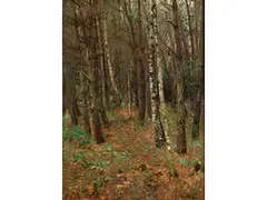 Waldlandschaft mit Birken by Otto Strützel, oil on canvas, offered Sep 2015