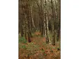 Waldlandschaft mit Birken by Otto Strützel, oil on canvas, offered Sep 2015