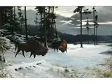 Bisons am Rand Eines Verschneiten Waldes by W. Arnold, oil on canvas, offered Jun 2023