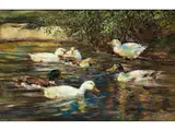 Enten an Einem Gewässer by Willy Tiedjen, oil on canvas, offered Jun 2024